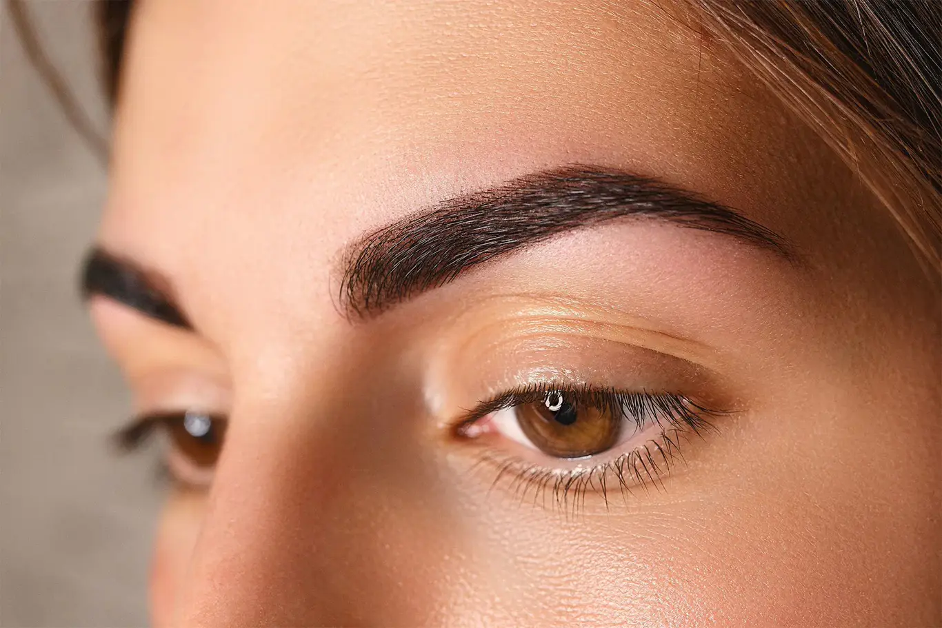 Close-up of freshly treated, well-cared-for brows